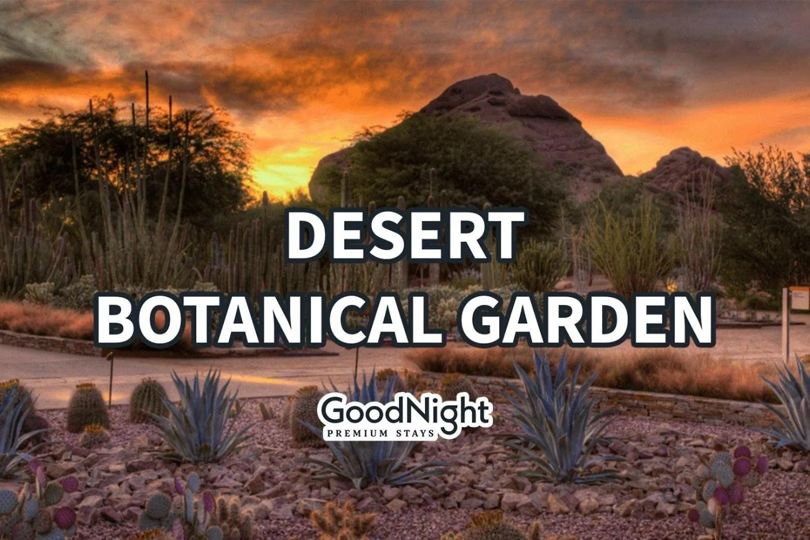 Semesterbostad Agua Linda - 2 Units - Hot Tub - Heart Of Old Town Villa Scottsdale